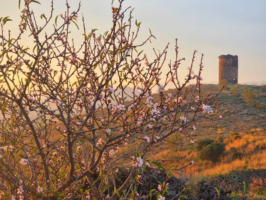 The Axarquia White Villages & Buddhist Stupa – SemiPrivate