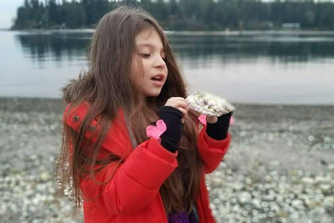 The Bainbridge Island Sightseeing