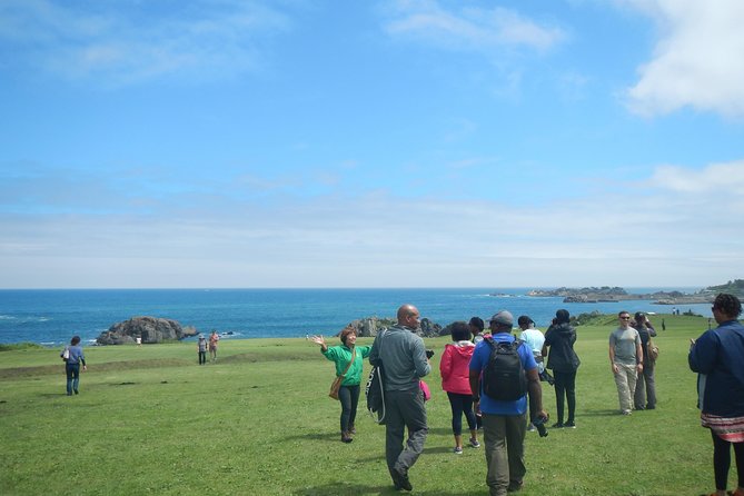 The Best Morning and Michinoku Shiokaze Trail Trekking in the Tanesashi Coast Natural Grassland