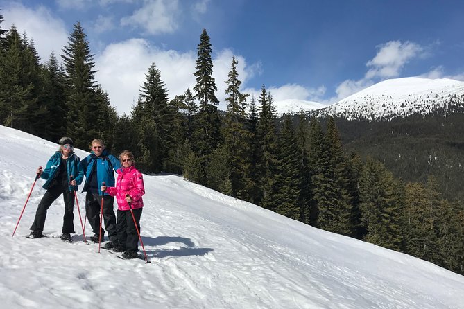 The Best of Bansko: Magical Snowshoeing Adventure & SPA