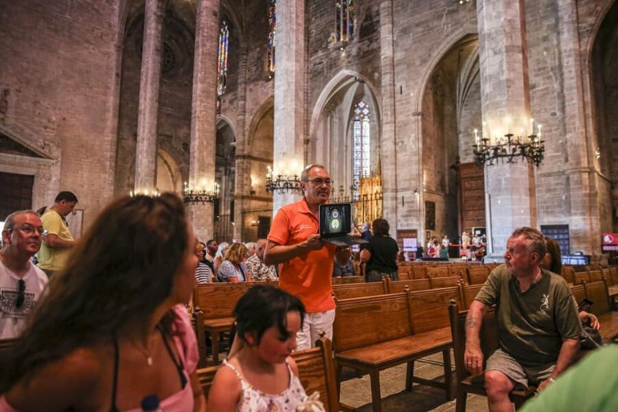 The Best of Palma: Boat Trip, Walking Tour and Cathedral