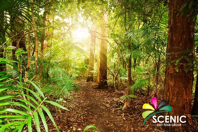 The Best of Tamborine Mountain From the Gold Coast