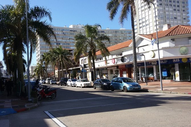 The Best Punta Del Este Day Trip From Montevideo - Highlights of the Itinerary