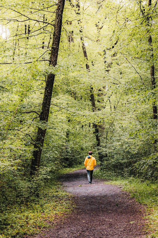 The Doors of Champagne: Private Guided Tour - Tour Overview