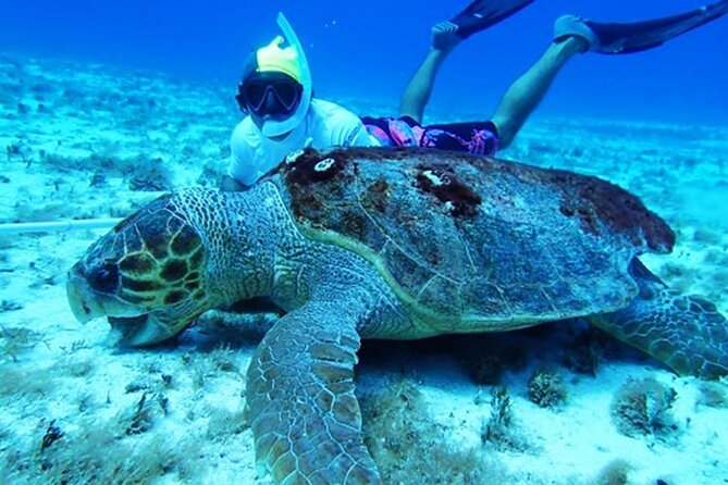 The El Cielo Palancar and Columbia Snorkeling Tour