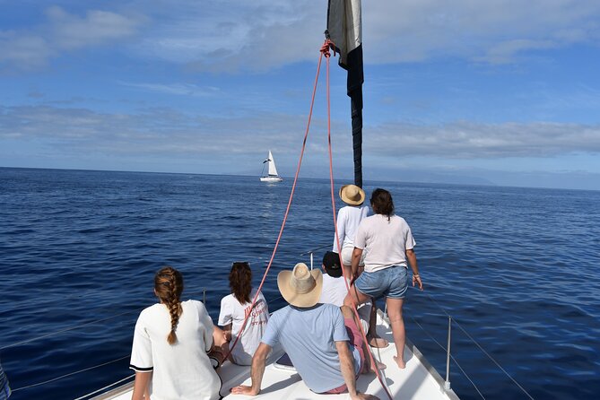 The Giants Cliffs Small-Group Sail Tour With Lunch