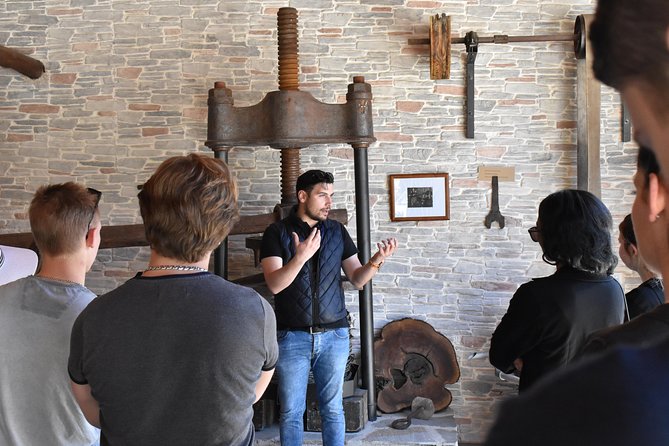 The Governor Olive Mill Tour With Olive Oil Tasting - Overview of the Tour