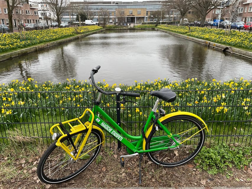 The Hague: Highlights Cycle Tour