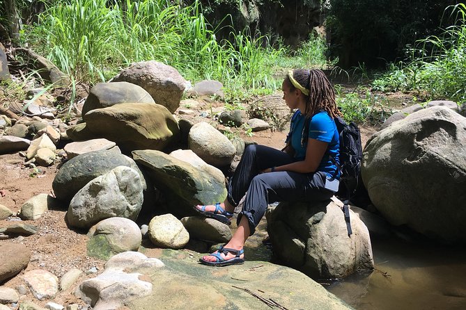 The Jaguar's Footprint: Hike and Music Day Trip From Cartagena - Inclusions