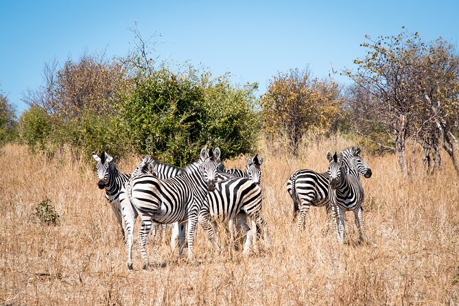 The Mosi Oa Tunya National Park Game Drive