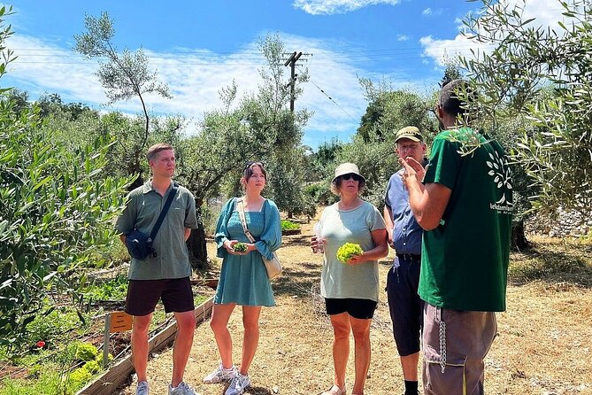 The Olive Oil Experience @ Lefkada Micro Farm