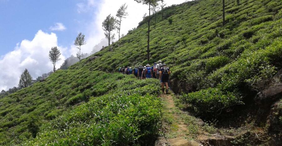 The Pekoe Trail, Stage 14,St. Catherine To Makulella