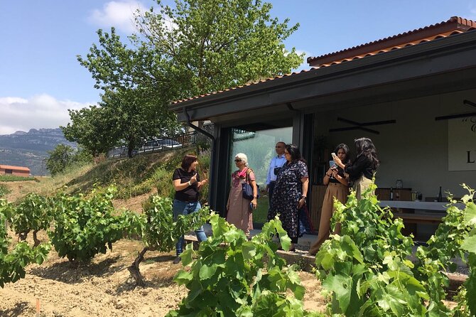 The Real Rioja Explore Tour – Private Experience