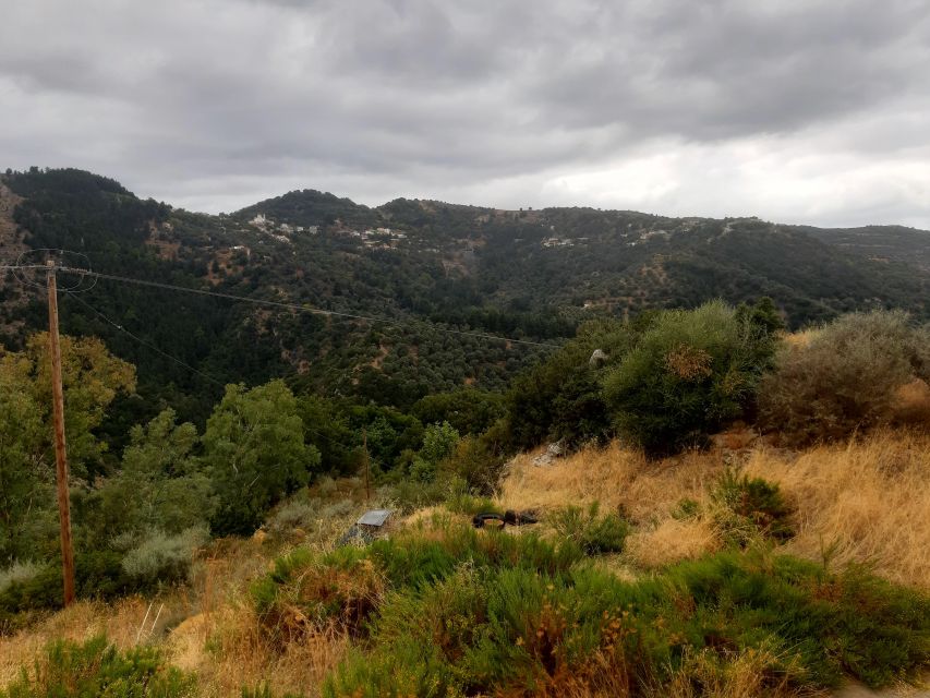 The Theriso Gorge and Village E-Bike Adventure