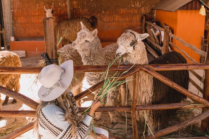 The Ultimate Sacred Valley Tour: 1 Day of Inca History, Lifestyle, Landscapes - Inclusions and Logistics