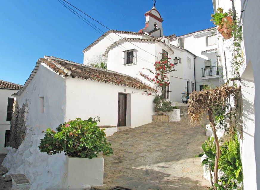 The White Towns of Andalusia: Private Day Trip From Cadiz - Whitewashed Walls and Tiled Roofs