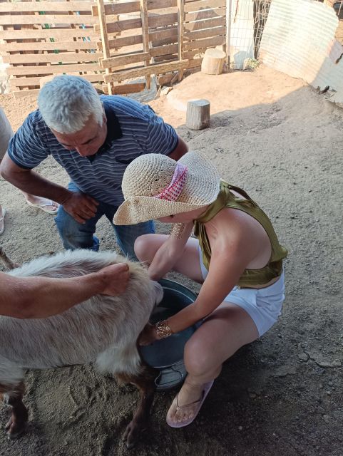 Thessaloniki: Visit a Farm and a Traditional Village