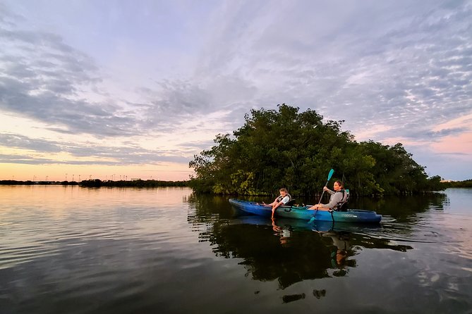 Thousand Islands Mangrove Tunnel Sunset Kayak Tour With Cocoa Kayaking! - What to Expect