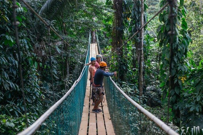 Thrilling Zipline Adventure at Bocawina Rainforest