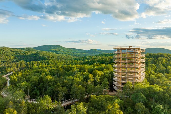 Ticket to Mont Tremblant Treetop Observatory and Walk - Overview of the Experience