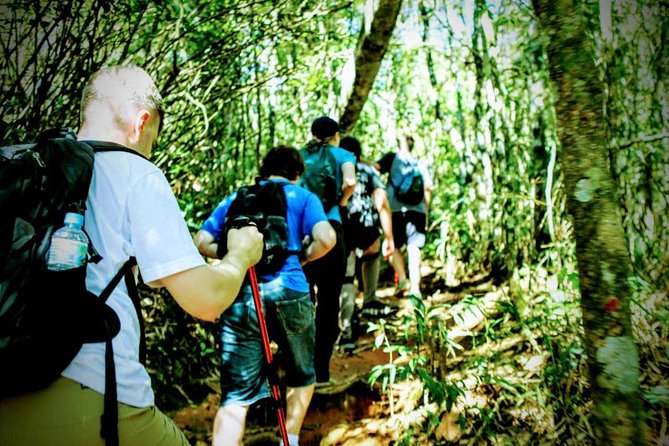 Tijuca Forest Challenge Full-Day Hike (Small-Group or Private) - Overview of the Hike