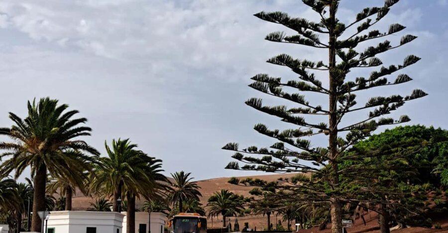 TIMANFAYA EXPRESS
