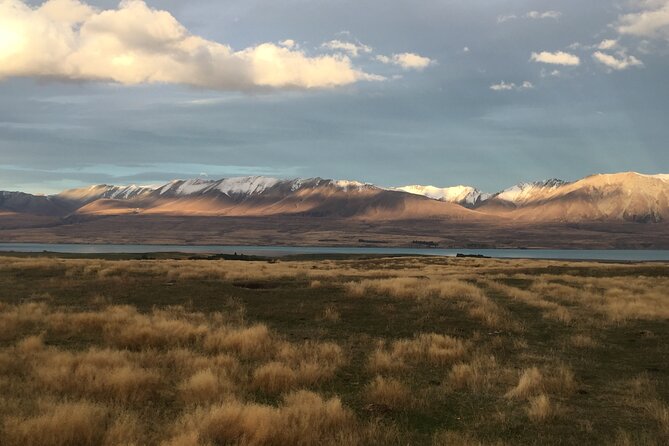 Timaru to Lake Tekapo Scenic Day Tour