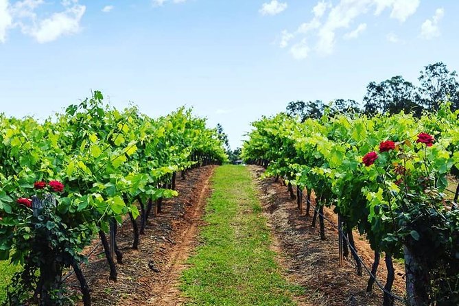 Tintilla Estate: Wine Tasting With a Meat and Cheese Platter