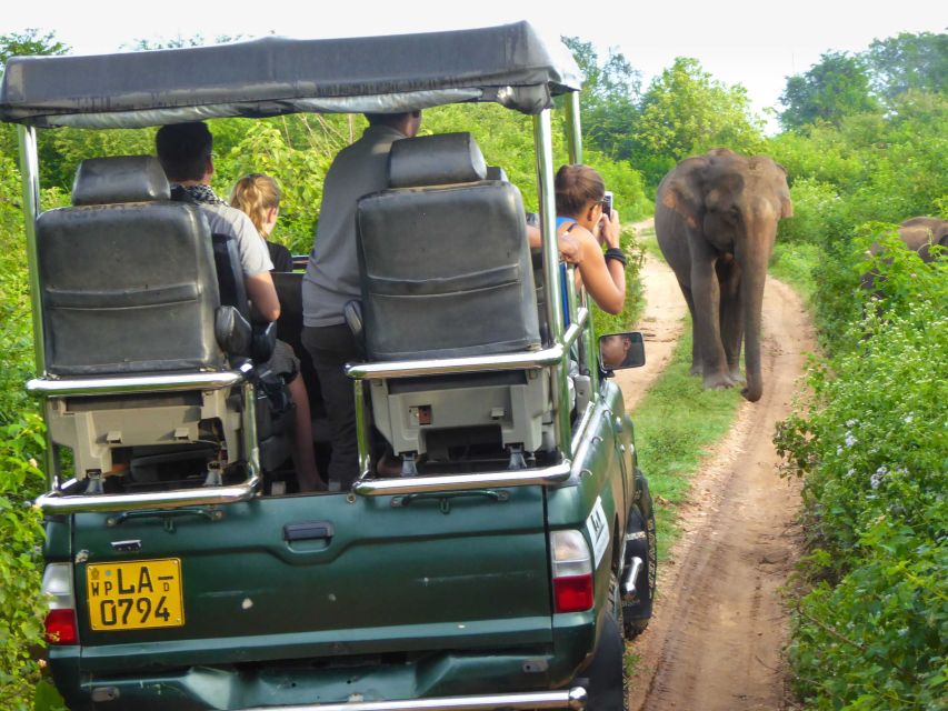 Tissamaharama: Yala National Park Buffer Zone Night Drive
