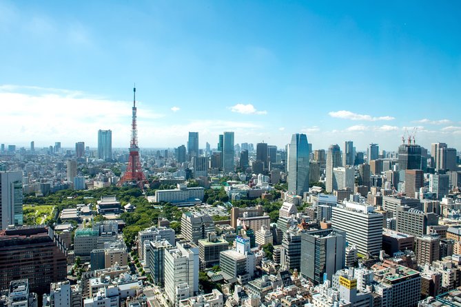 Tokyo Airport Transfers: Tokyo-Narita Airport NRT to Tokyo City in Luxury Van - Overview of the Service
