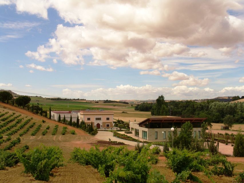 2 Best Tours In Toro