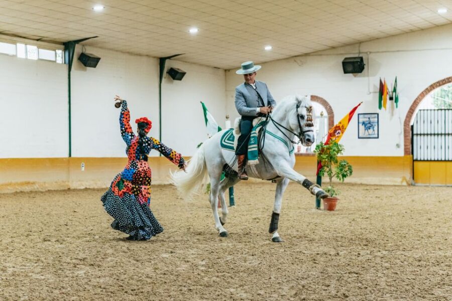 Torremolinos: Horse Show, Dinner Option, Drinks, & Flamenco