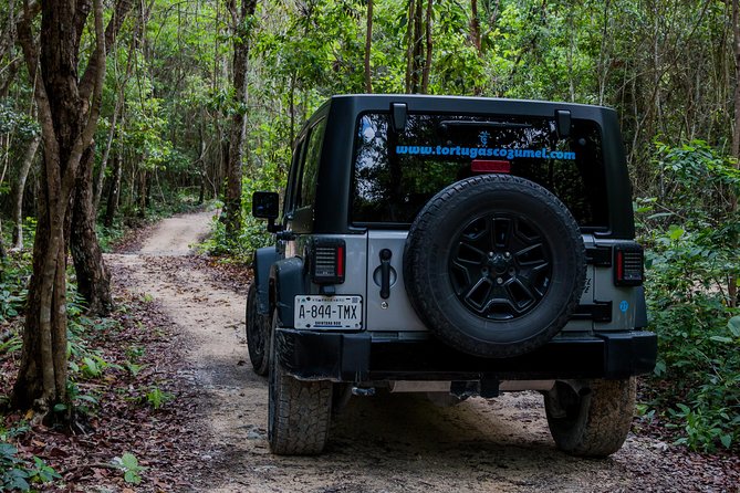 Tortugas Jeep Adventure & ATV Jungle Experience - Location and Rating