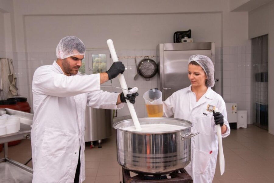 Tour at a Farm and Cheese Factory