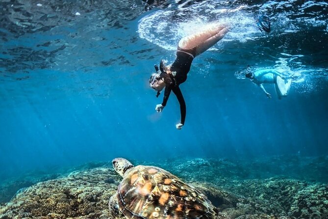 3 Best Full-Day Tours In Huatulco