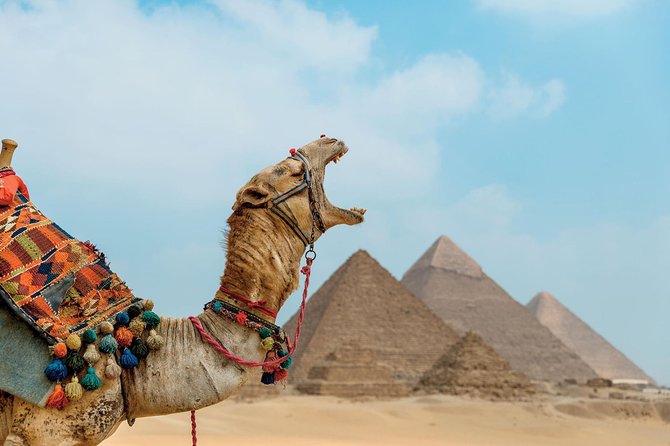 Tour Giza Pyramids, Sphinx Egyptian Museum,Market,Camel Ride - Inclusions