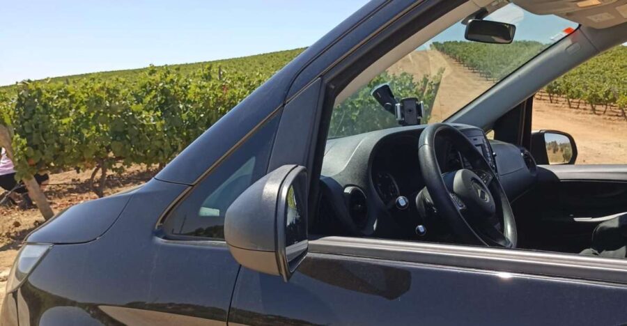 Tour Specific Alentejo: Évora, Wine Tasting, and Monsaraz