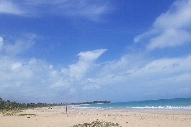 3 Best Tours In Montana Redonda