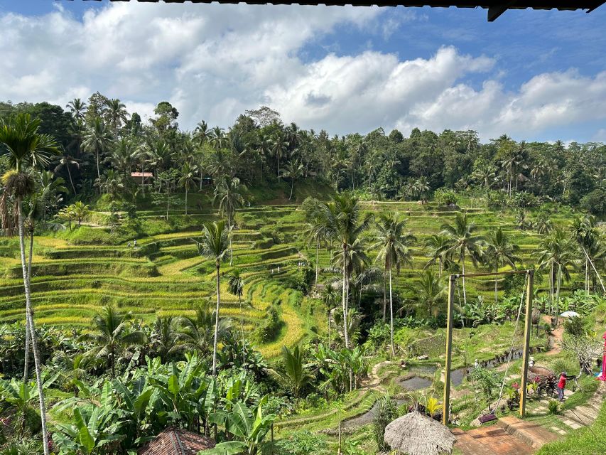 Tour & Traval Guide | Bedugul
