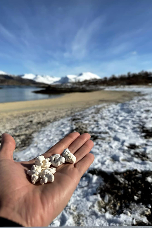 Tour Tromsø: Kvaløya & Sommarøy/Spanish & English/Coffee/tea