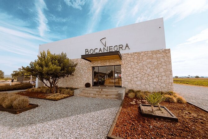 Traditional Cheese and Wine Tour in English, Leaving Querétaro