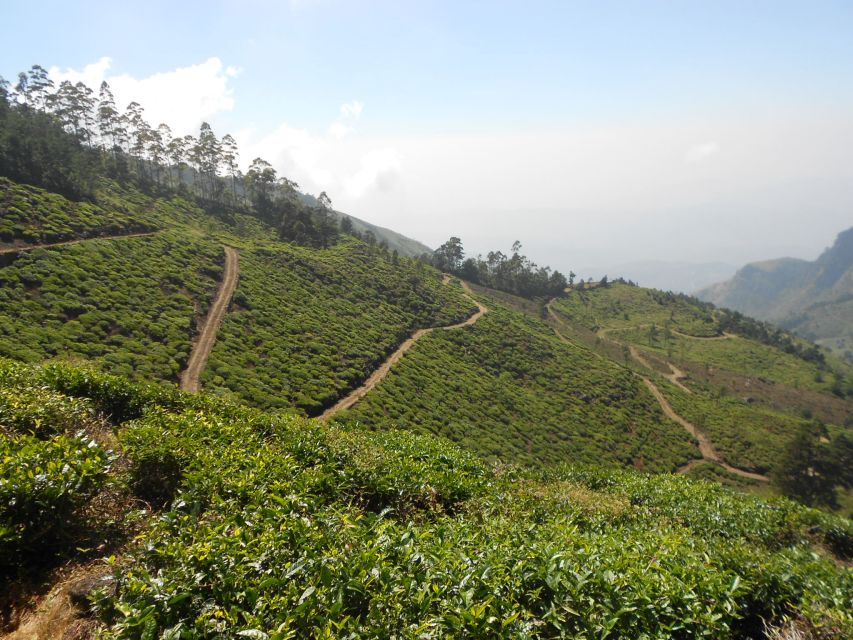 Trail Running From Haputele to Bambarakanda Water Falls