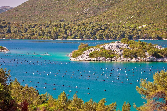 Transfer From Dubrovnik to Split With 2 Hours Stop in Ston Town - Private Transfer Service Details