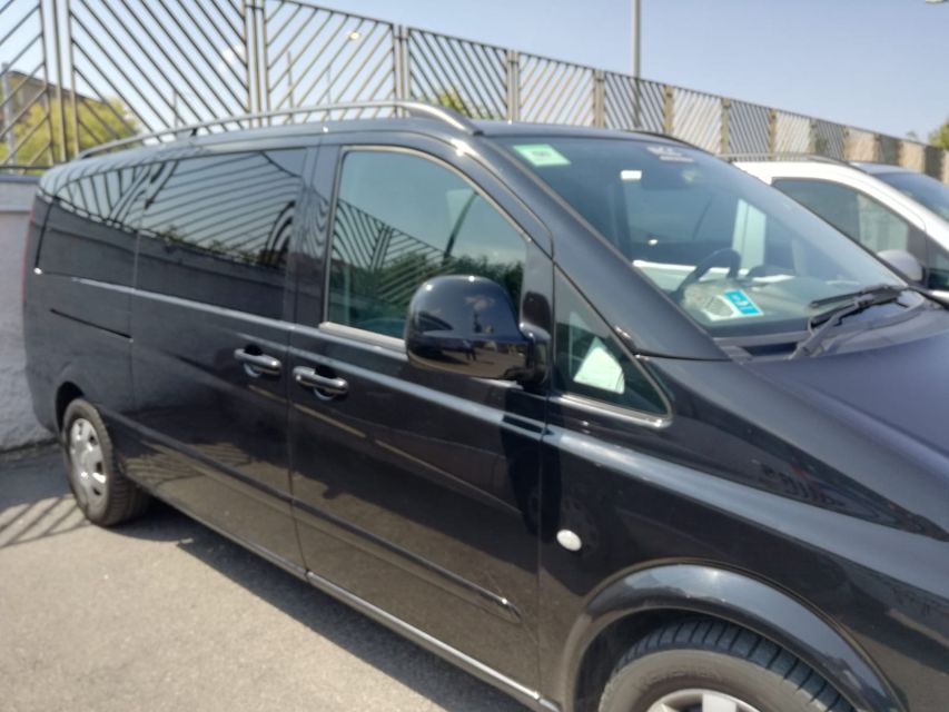 Transfer From Rome Area to Salerno & Guided Pompeii - Overview and Pricing
