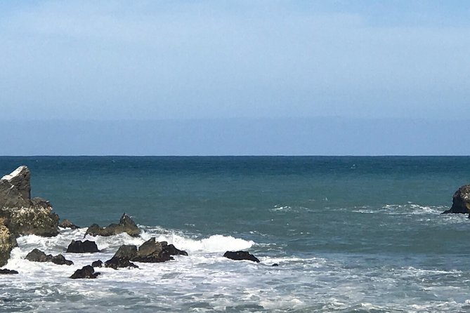 Transfers From Blenheim or Picton to Kaikoura
