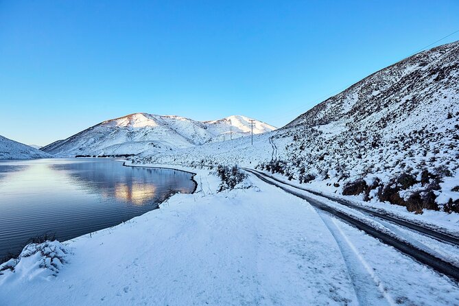 TranzAlpine Train, Arthurs Pass and Castle Hill Day Trip