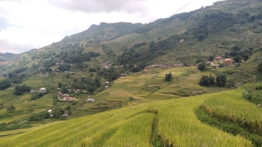 Trekking Through Rice Terraced Fields