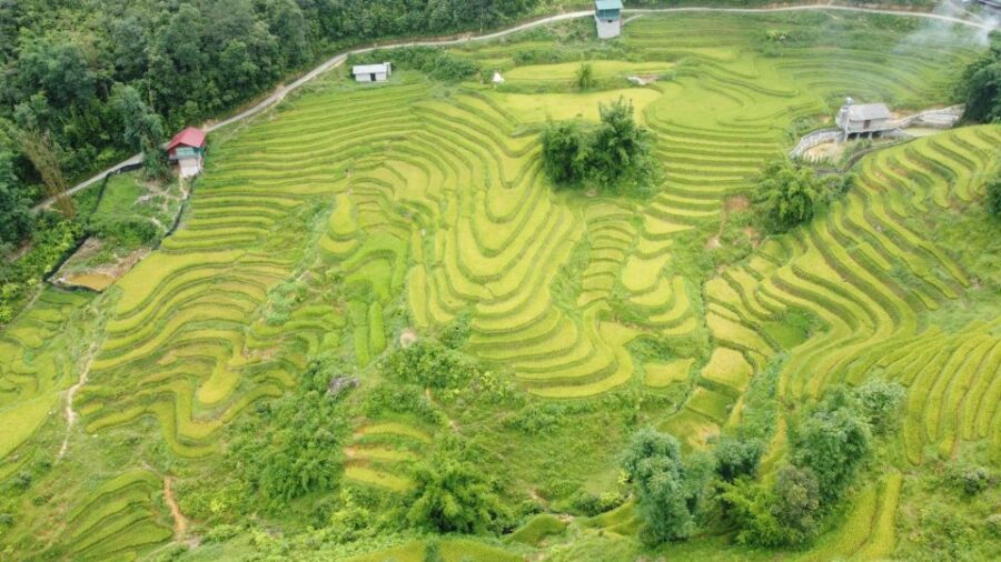 Trekking Tour With Local Guide - Tour Details