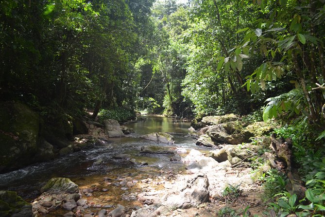 Trinidad Rainforest Hike to Waterfall - Logistics and Requirements