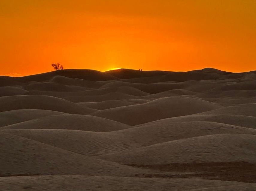 Trip Tunisia in the Sahara Atlas Beach Culture Vacation - Overview of Tunisias Attractions